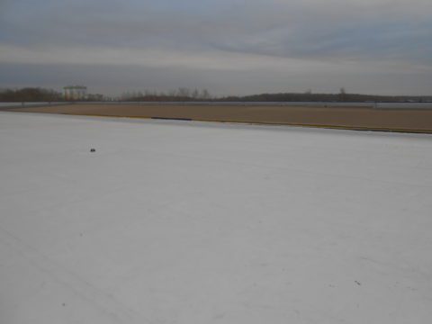 DSCN0627
