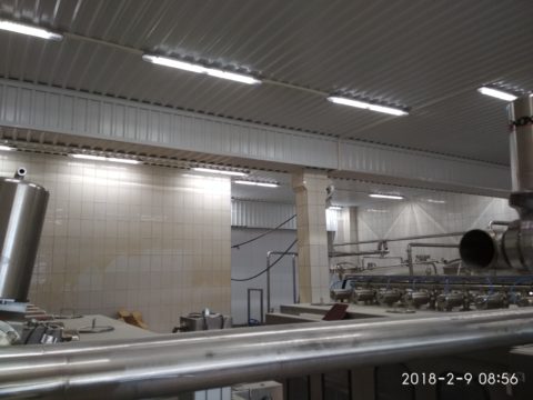 отделка творожного цеха